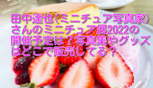 田中達也のミニチュア展2022の開催予定は？写真集やグッズはどこで販売してる？