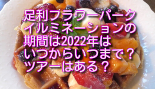 足利フラワーパーク イルミネーションの期間は2022年はいつからいつまで？ツアーはある？