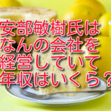 安部敏樹氏はなんの会社を経営していて年収はいくら？